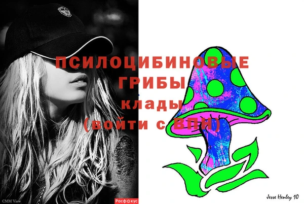 шишки Алексин