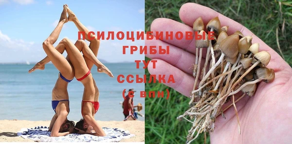 шишки Алексин